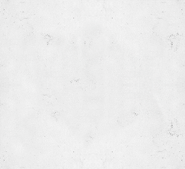 concrete-wall-2